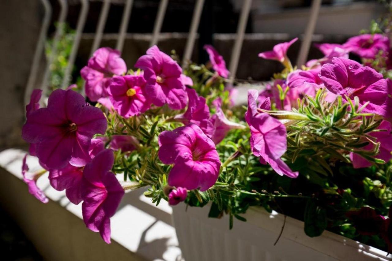 Gjestgiverier Batina Dubrovnik